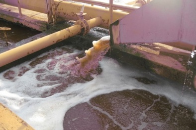 Nguồn nước các khu đô thị bị ô nhiễm, suy trữ